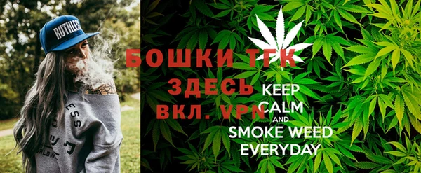 соль ск Белокуриха