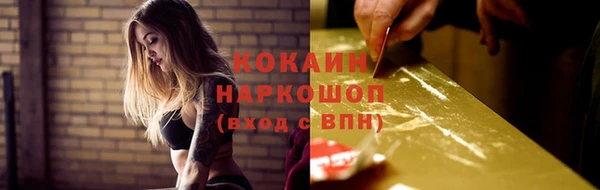 соль ск Белокуриха