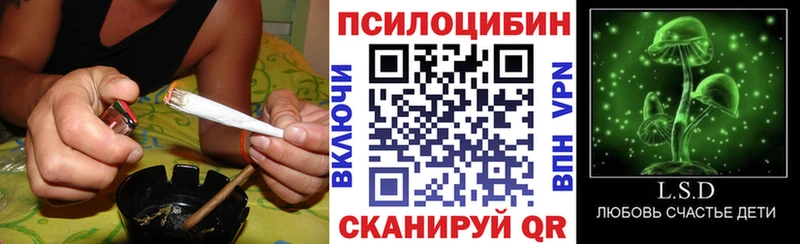 Псилоцибиновые грибы Psilocybe закладка гидра онион Гулькевичи