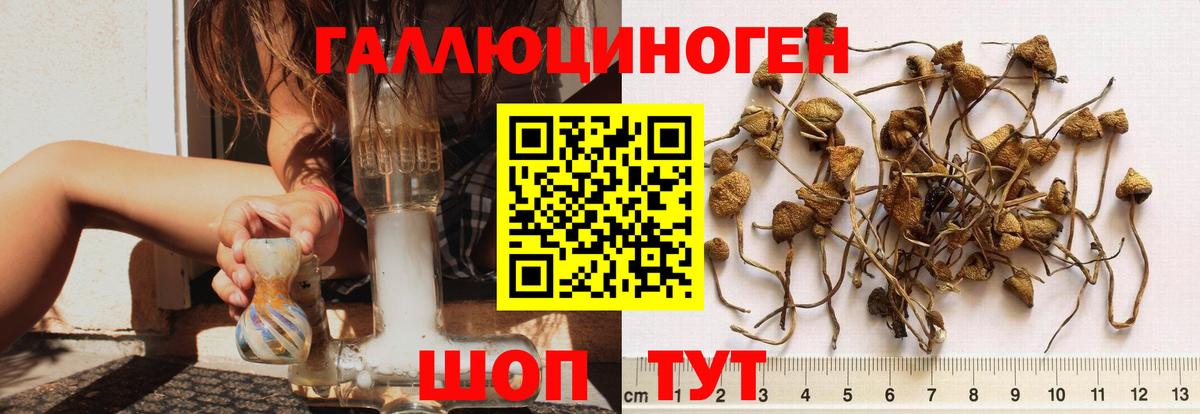 Галлюциногенные грибы MAGIC MUSHROOMS Гулькевичи