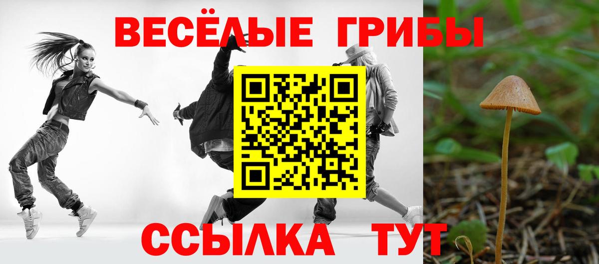 Псилоцибиновые грибы прущие грибы  Вход с VPN  Гулькевичи 